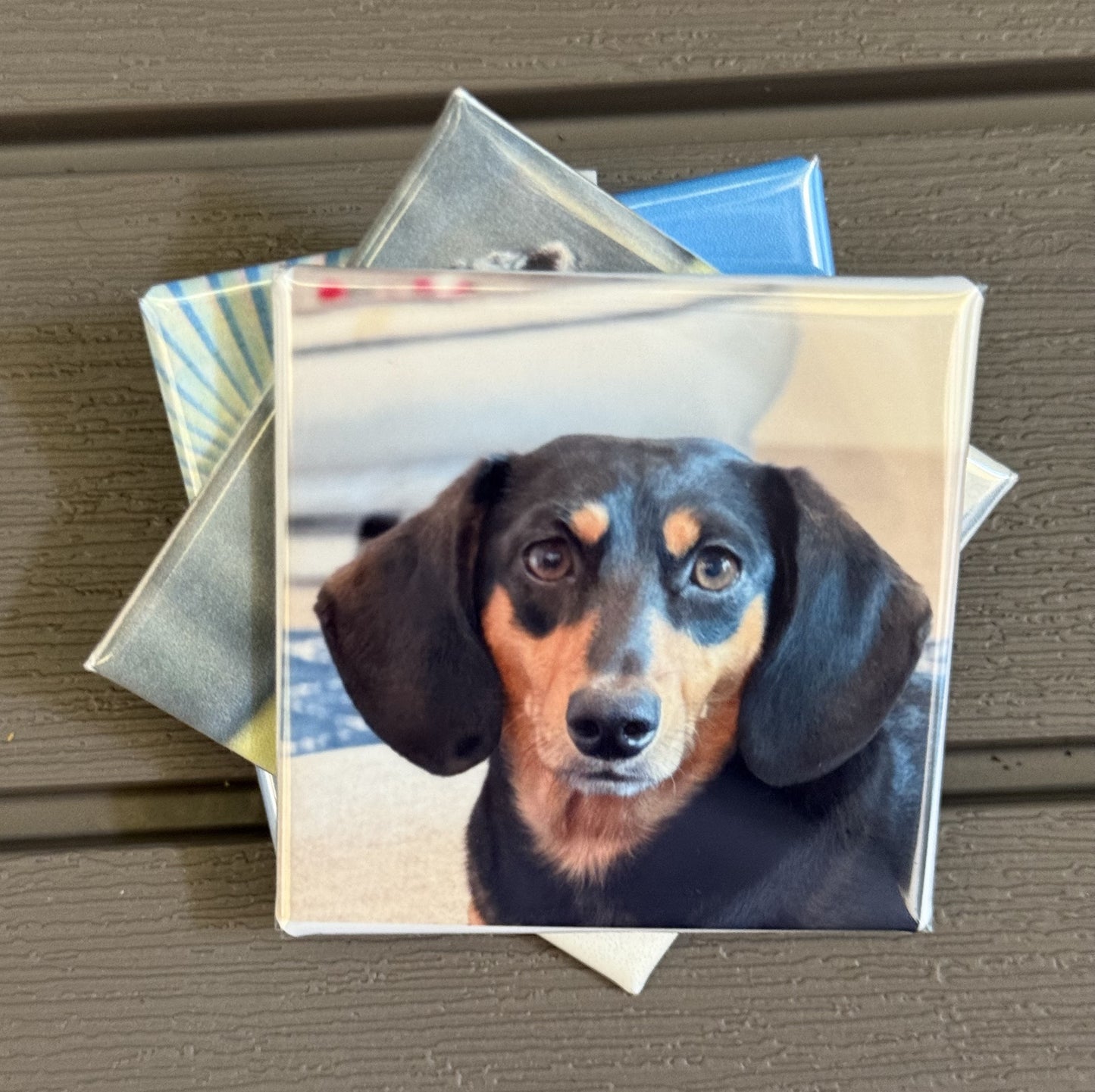 Custom Photo Magnet (Set of 3)